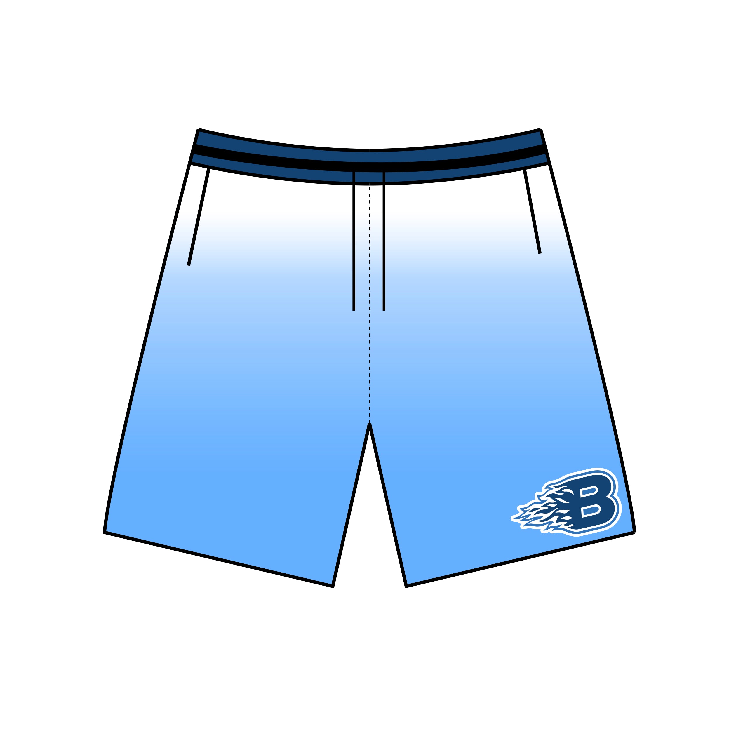 Blaze Chenile Patch "Gradient" Mesh Shorts